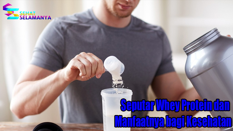 Seputar Whey Protein dan Manfaatnya bagi Kesehatan