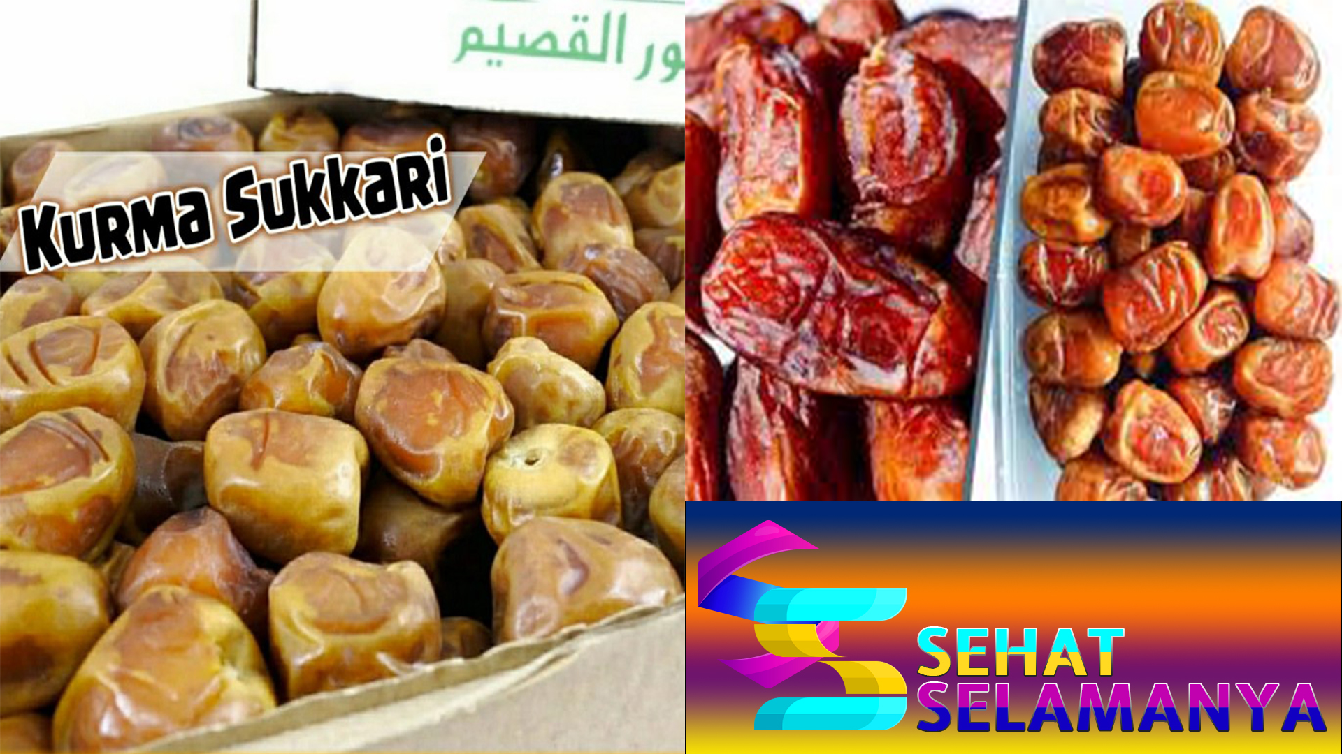 Manfaat Kurma Sukari yang Jarang Diketahui