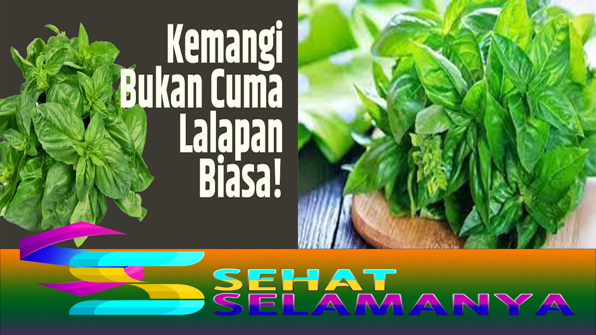 Keunggulan Daun Kemangi: Sayur yang Tidak Perlu Dimasak