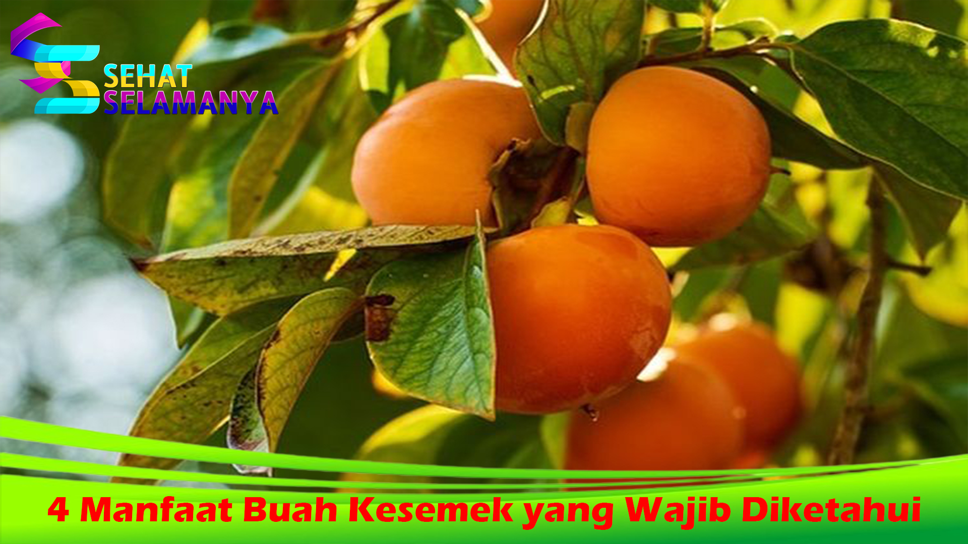 4 Manfaat Buah Kesemek yang Wajib Diketahui