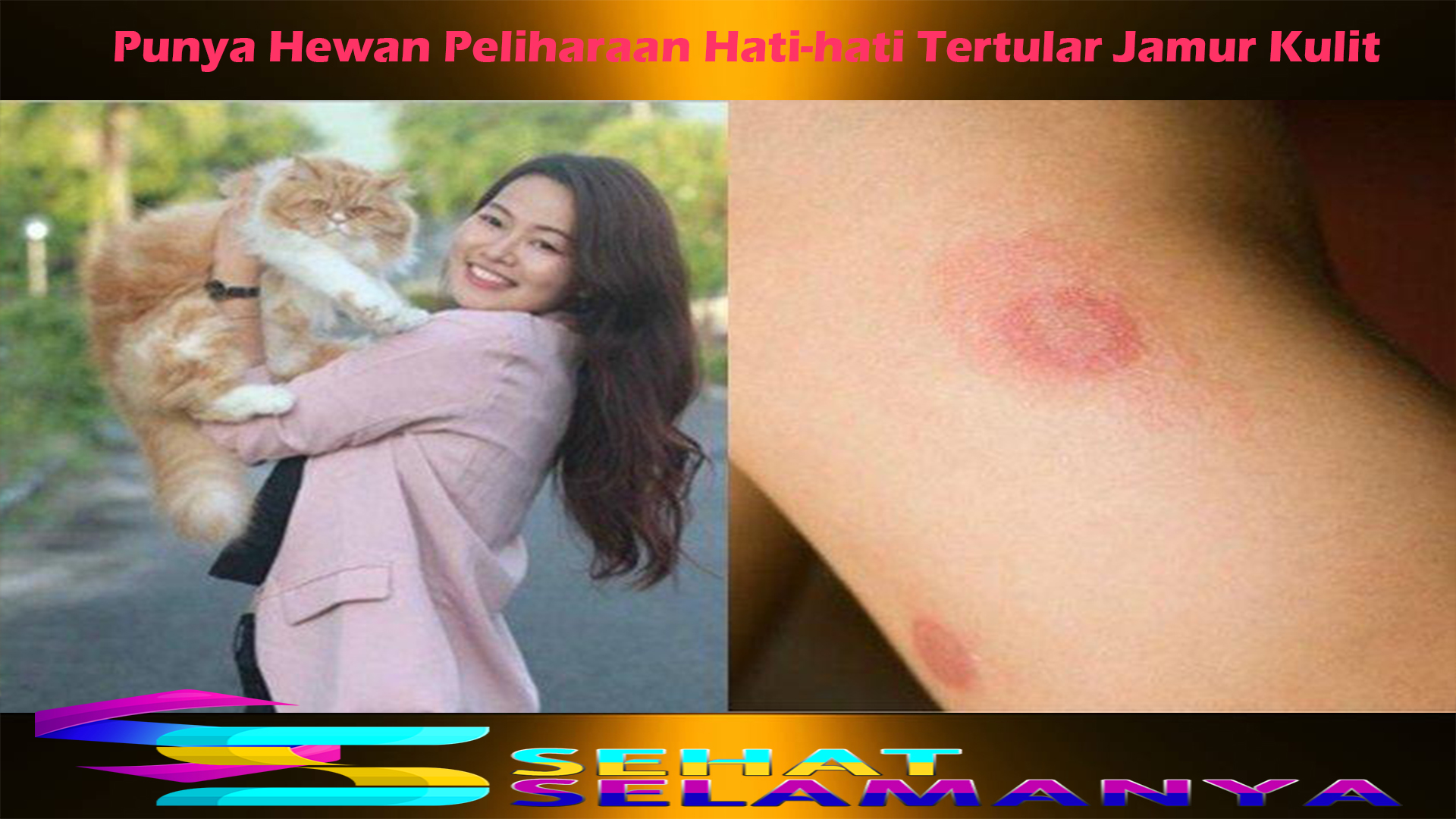 Punya Hewan Peliharaan Hati-hati Tertular Jamur Kulit