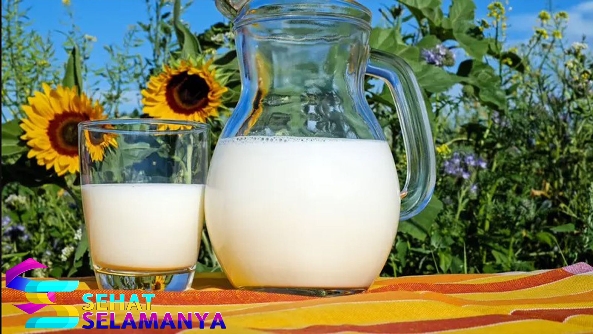 Manfaat Susu Skim yang Bebas Lemak Dan Kalori