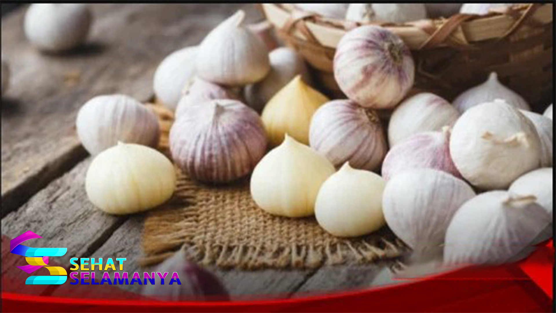 Manfaat Bawang Putih Tunggal untuk Kesehatan Tubuh