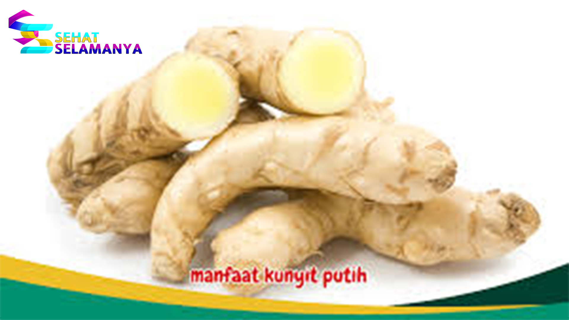 Manfaat Kunyit Putih bagi Kesehatan