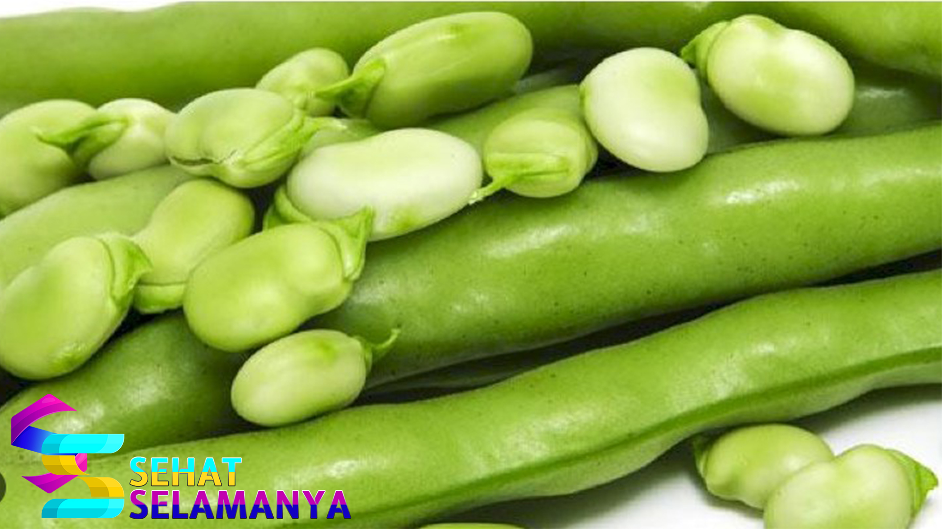 Kacang Lima: Kacang Lembut yang Tinggi Protein