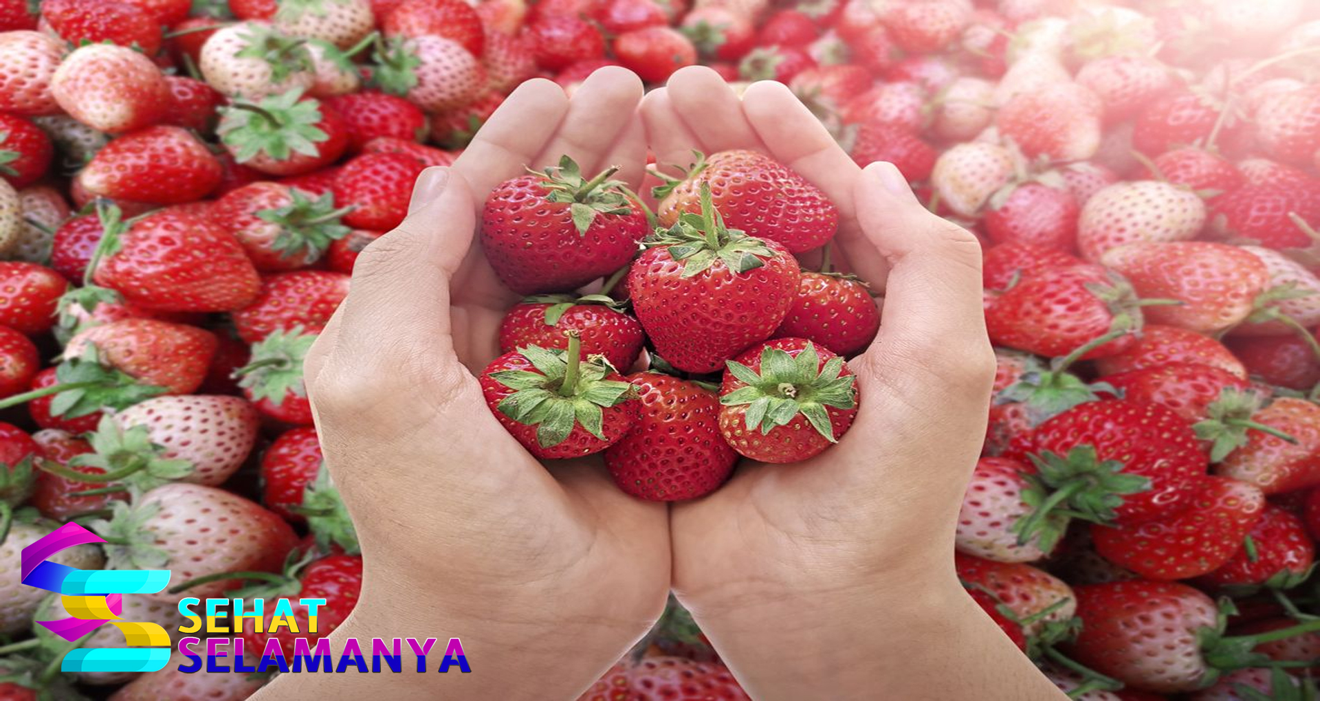 Manfaat Stroberi untuk Kesehatan Tubuh